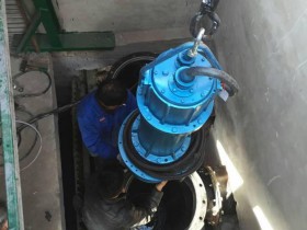350QZB潜水轴流泵天津滨海新区安装调试