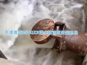 350QZB潜水轴流泵安装现场，天津潜成潜水轴流泵500立方每小时起步