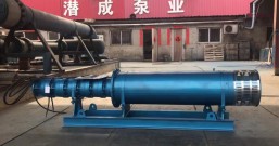 250QJW80-100-37KW卧式潜水泵发往首都北京