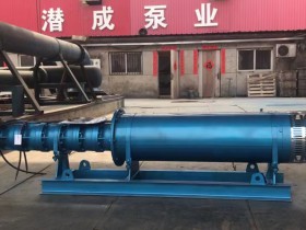 250QJW80-100-37KW卧式潜水泵发往首都北京